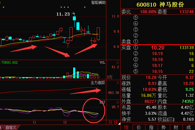 神马股份600810劲爆利好消息,后期走势精准分