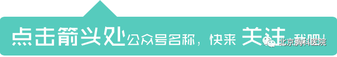 肿瘤内科医生收入_那些年,美国家庭医生是如何炼成的？