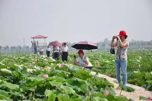 范县有多少人口_范县这些人在路口闯红灯 交通违章违法,看看有你吗