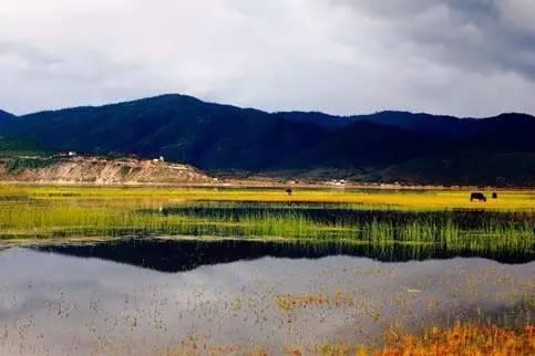 西藏自驾之藏东大环线—让眼睛和心灵飞上天堂！