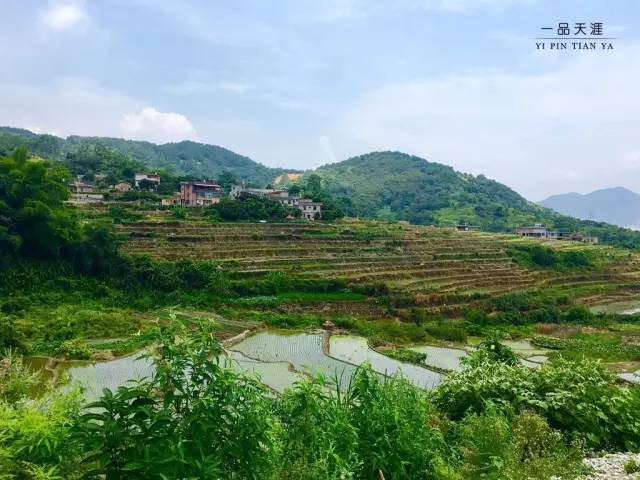 安溪上山村人口有多少_安溪卫校后山有什么