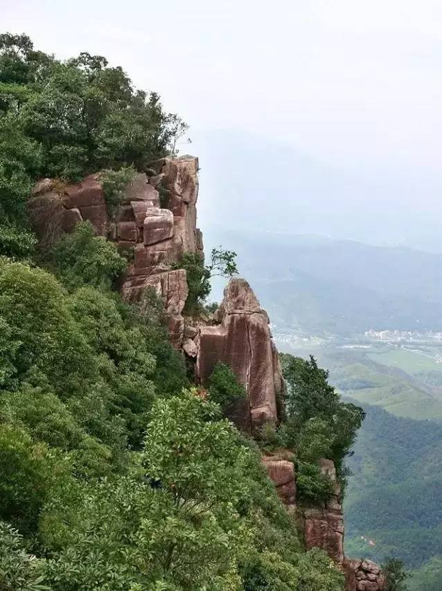 约～去陆河赏十万亩梅花全攻略,广深莞出发,2个小时即