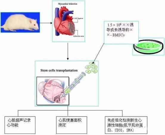 让国自然技术路线图更色一点 (含经典技术路线)_搜狐科技_搜狐网