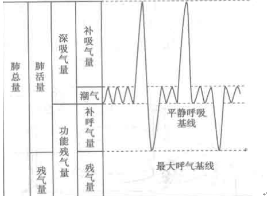 手把手教你如何解读肺功能