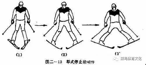 【菜鸟说】双板犁式制动与滑降