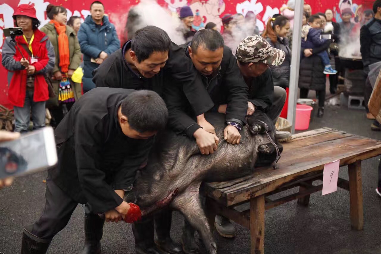 湘西有多少人口_湘西最后赶尸人口述赶尸过程 湘西赶尸是不是真的现在还有吗