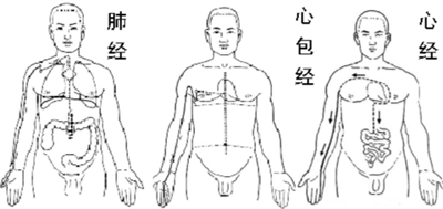 颐养通养老提示:强身健体的经络操