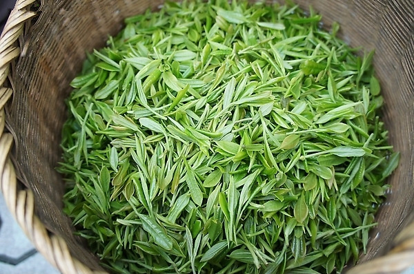 中国10大土豪茶,你知道几种?