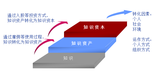 课程6:知识资本管理