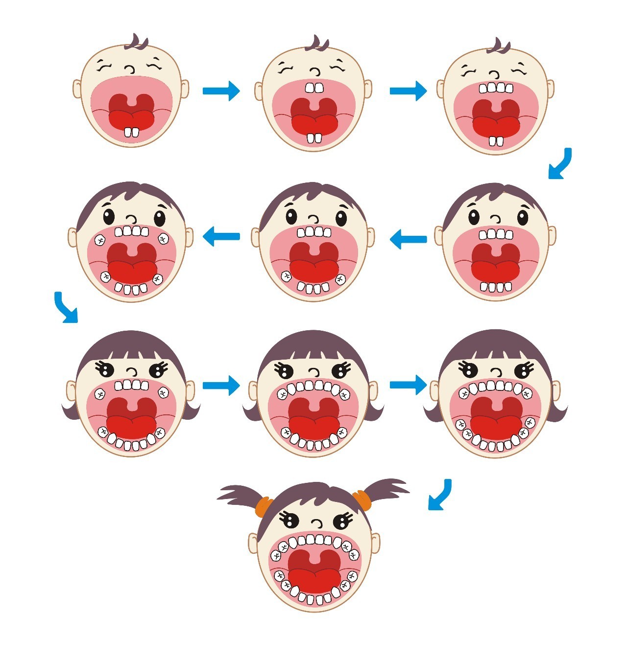 牙齿生长时间顺序图，宝宝长牙期间多久可以完全长出来牙齿为什么