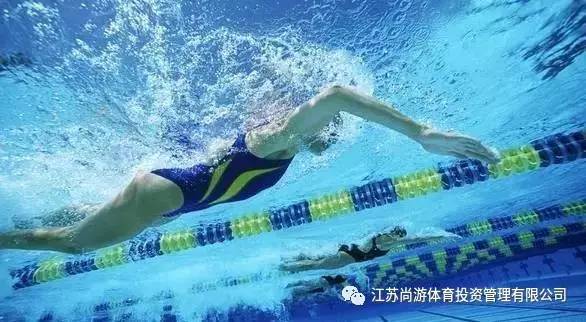【尚游体育】全浸式自由泳是什么?