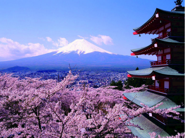 日本樱花祭&《你的名字》7日游攻略