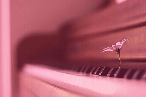 学钢琴这么久,为什么成功的不是我