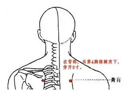 "膏肓"位置图