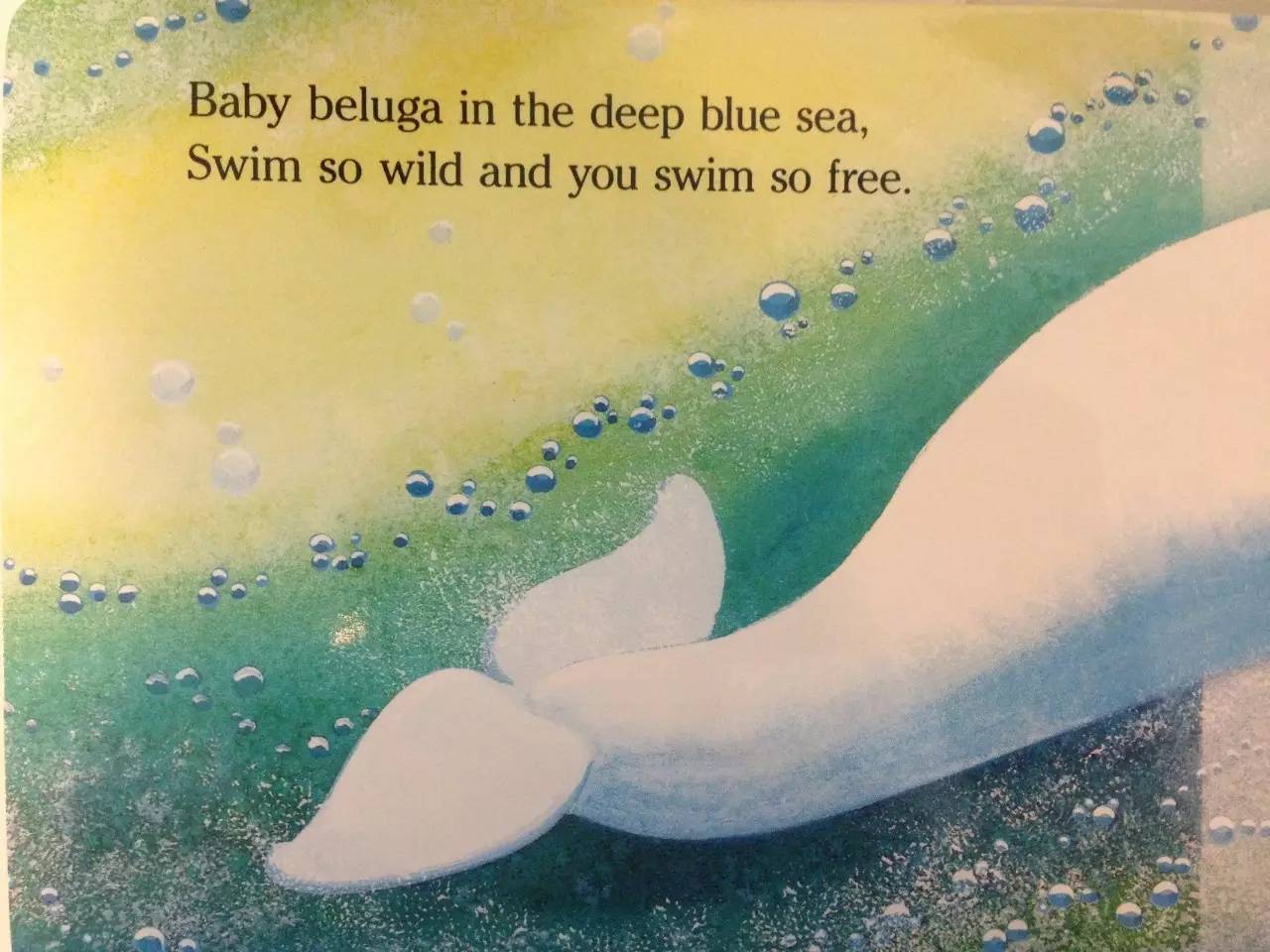 英文儿歌|baby beluga 白鲸宝宝