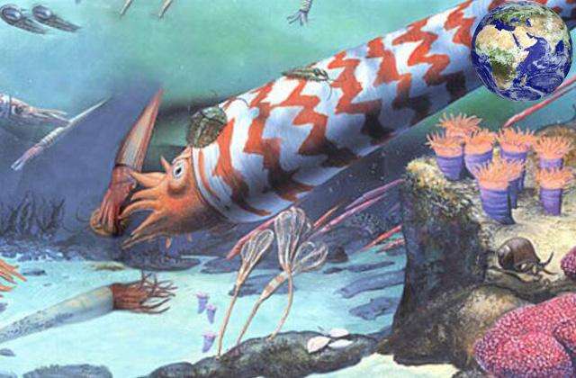 跨越三个远古时代的巨型海螺长达十米,曾纵横海洋