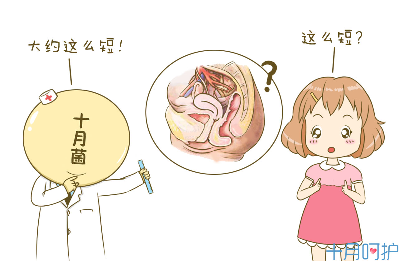 小心妊娠期肾盂肾炎