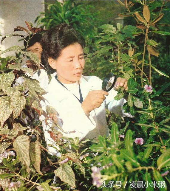 常州七十年代GDP_80年代常州汽车站(3)