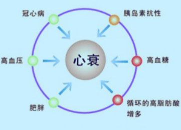 心力衰竭发生时的表现及预防