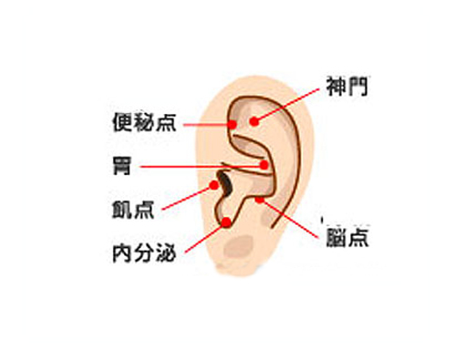 按摩减肥是什么原理(2)