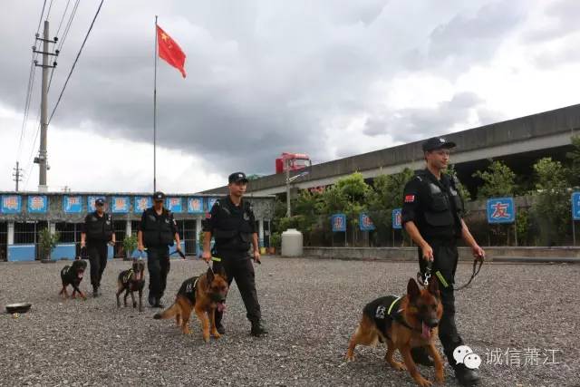 萧江人口_萧江有名猪骨头图片