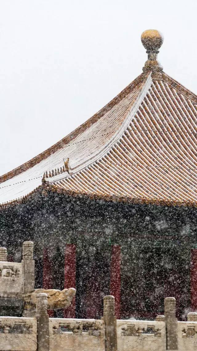 北方漫天飞雪,南方花开成海