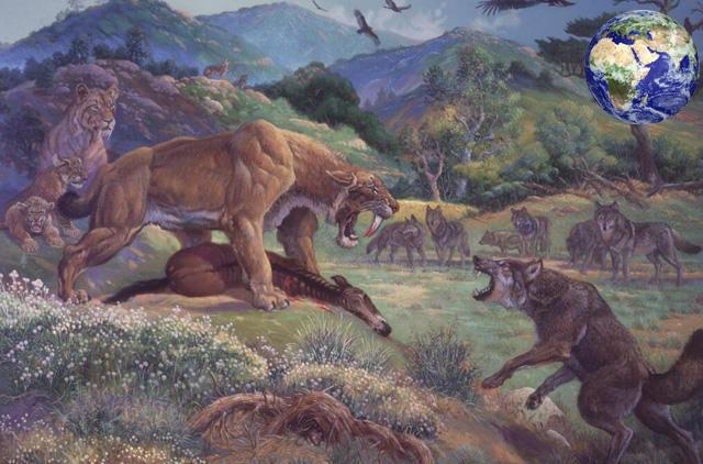 200万年前的狼是什么样子?身形巨大能单挑剑齿虎