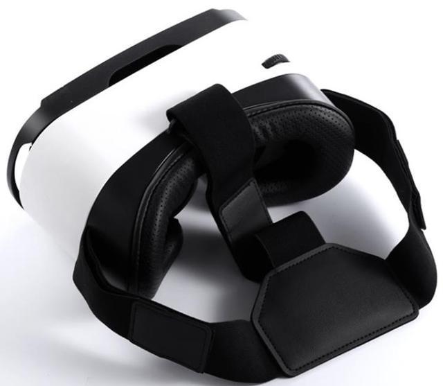 谢霆锋看王菲演唱会时用的VR设备是什么来头