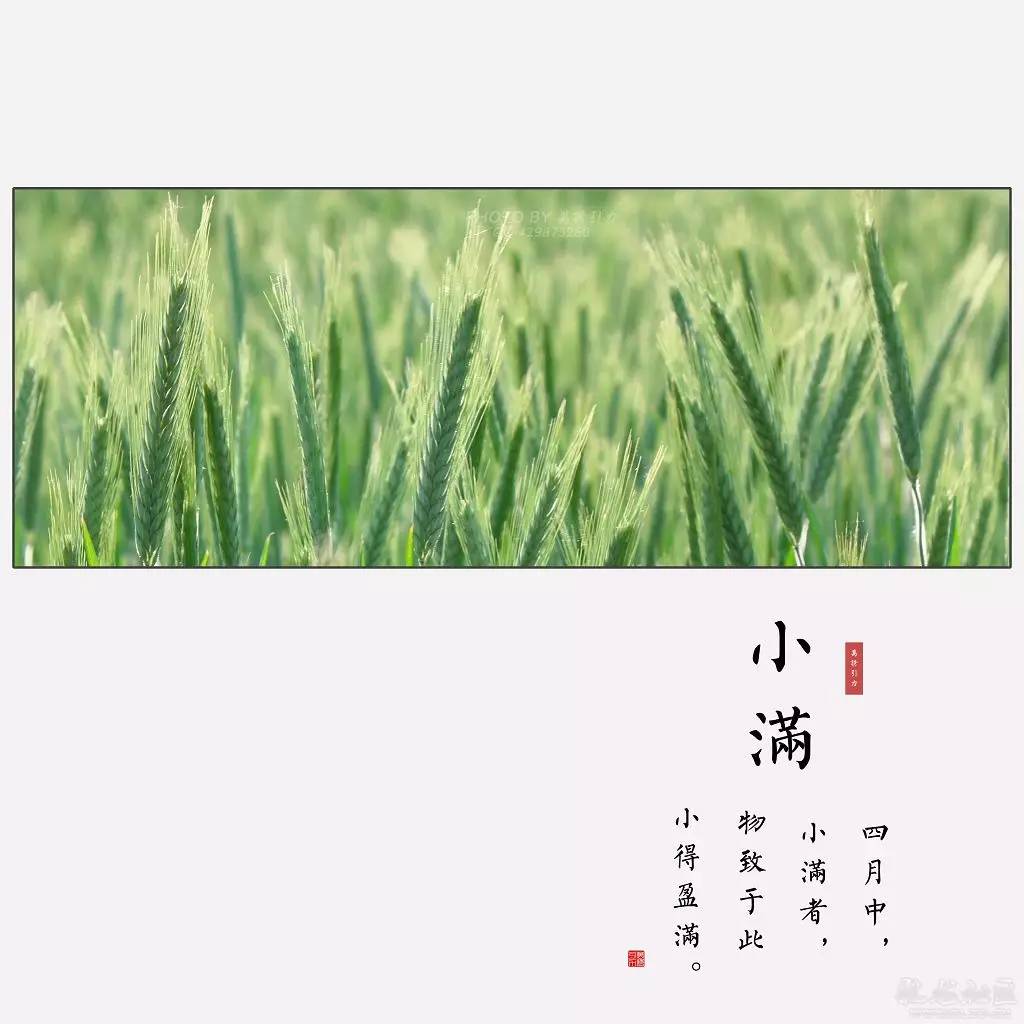 万物生长,欣欣向荣.也为夏季的开始.