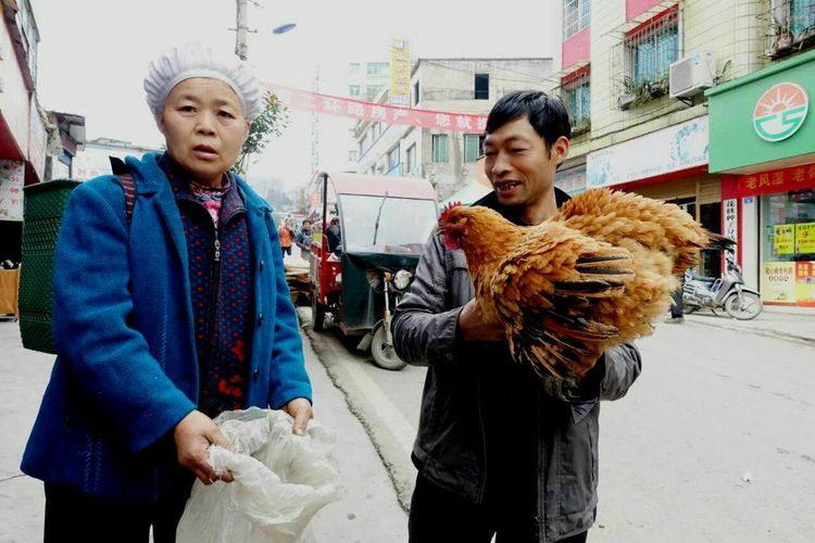 跨新年:喜看贵州桐梓花秋乡场