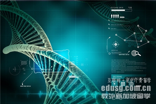 新加坡留学化学专业申请步骤