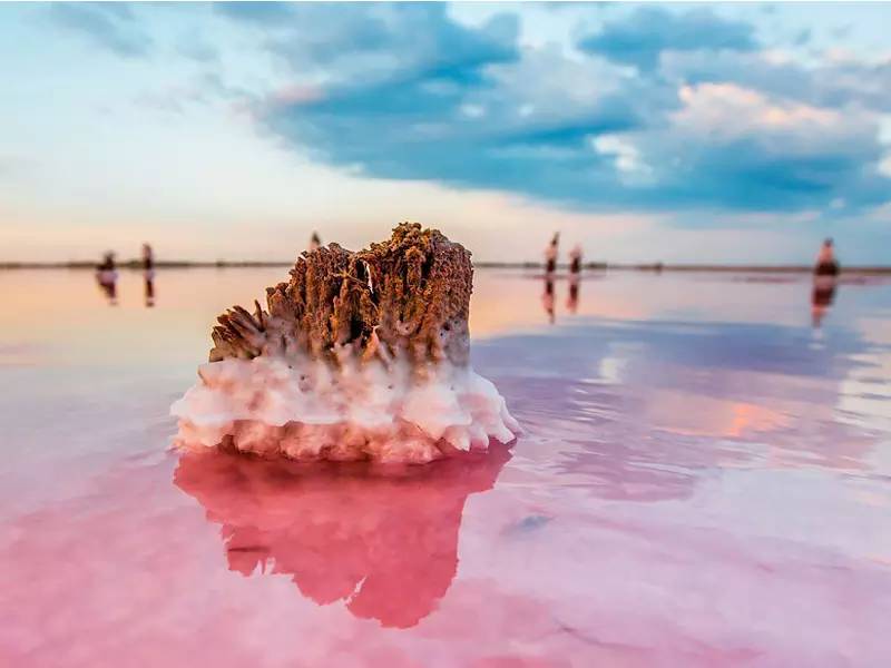 赫特泻湖 hutt lagoon