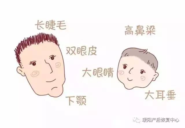 好奇宝宝出生后,会从你和老公身上分别遗传到什么基因