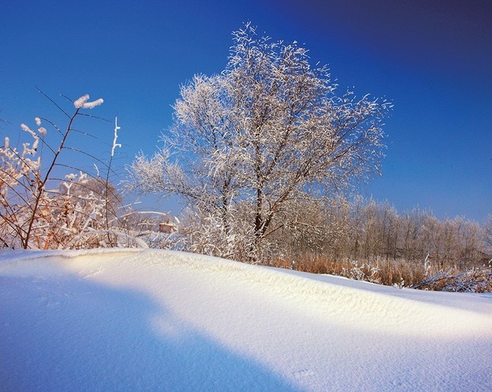 雪景怎么穿搭_雪景图片唯美