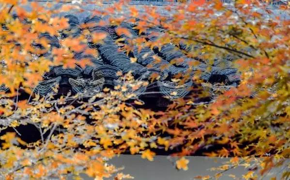 钱穆丨人生三步骤