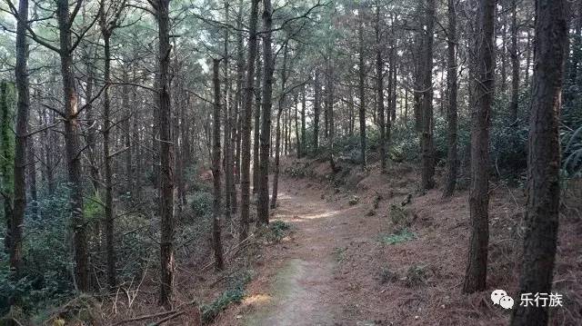 免费徒步活动:上古山-五龙潭 溪流飞瀑,怪石险峰—五龙潭 浓烈的