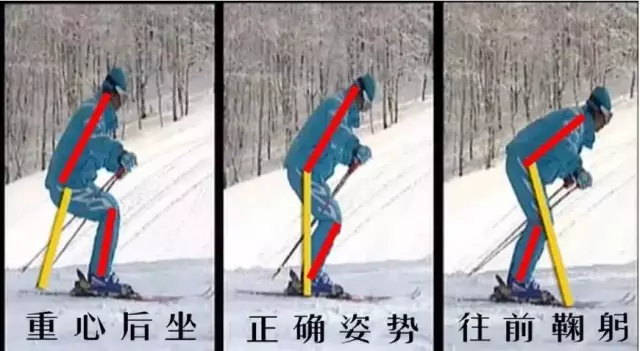 【冬季滑雪必备】滑雪的技巧以及注意事项谈球吧体育(图3)