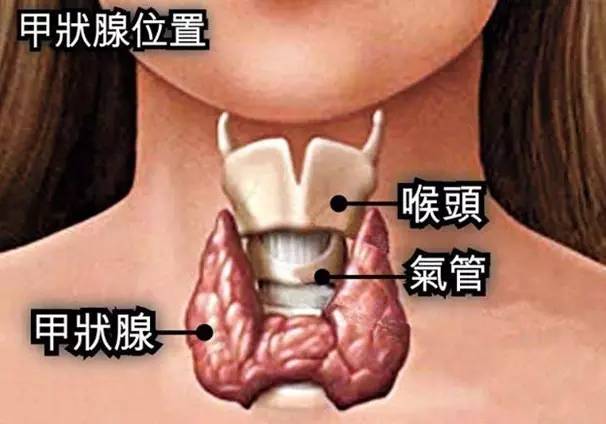 【甲状腺肿瘤】甲状腺肿瘤的症状_甲状腺肿瘤的饮食注意