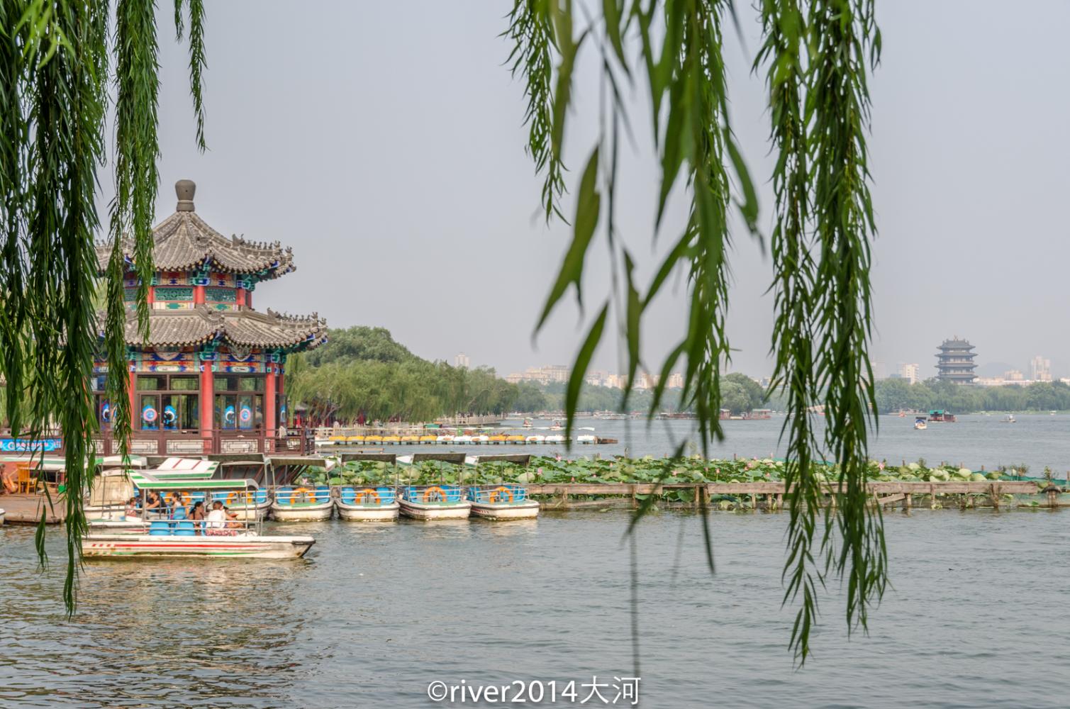 济南大明湖免费开放,泉水汇集成湖景色超美