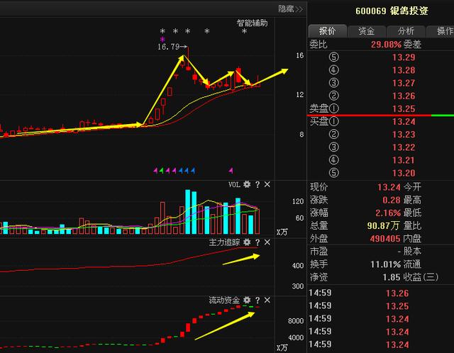 银鸽投资(600069)属于大盘股.财务状况尚可.