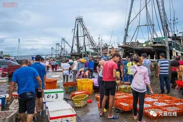 文昌环球码头,热闹渔市背后是渔民的艰辛 | 旅行