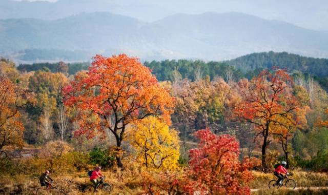 孝感市大悟县四姑镇北山村