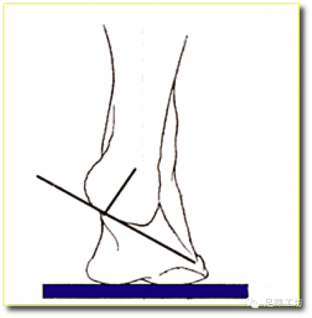 图解——足踝生物力学