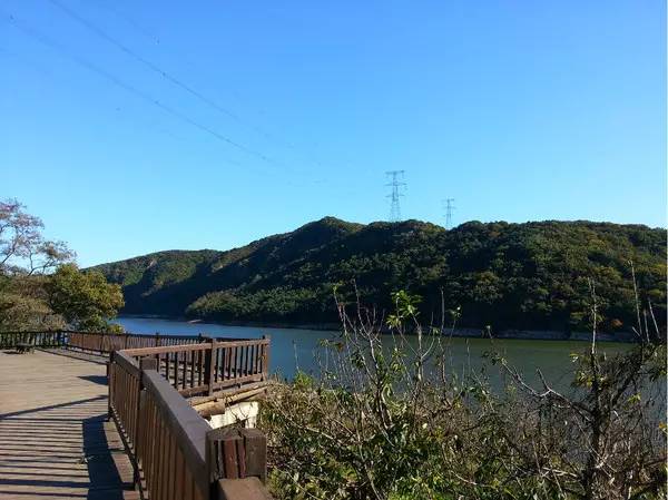 大家都知道旅顺南路,旅顺北路,其实,旅顺中路的风景也很美!