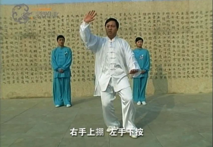 跟着陈斌老师学太极:陈式太极拳十八式之白鹅