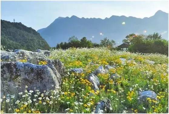 (绵阳市)药王谷景区