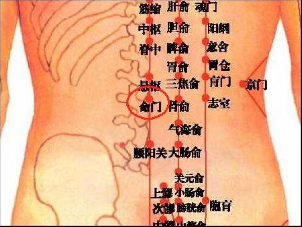 命门穴擅治虚损腰痛遗尿泄泻遗精阳痿月经不调