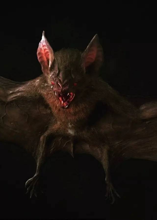 还有日本关东军要塞中住着的巨型蝙蝠——每一个怪物的模型几乎都能