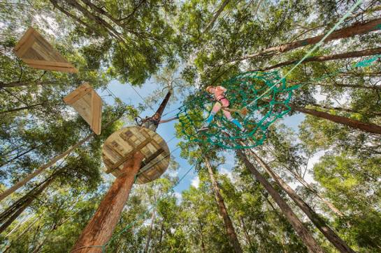 树顶公园 treetop adventure park