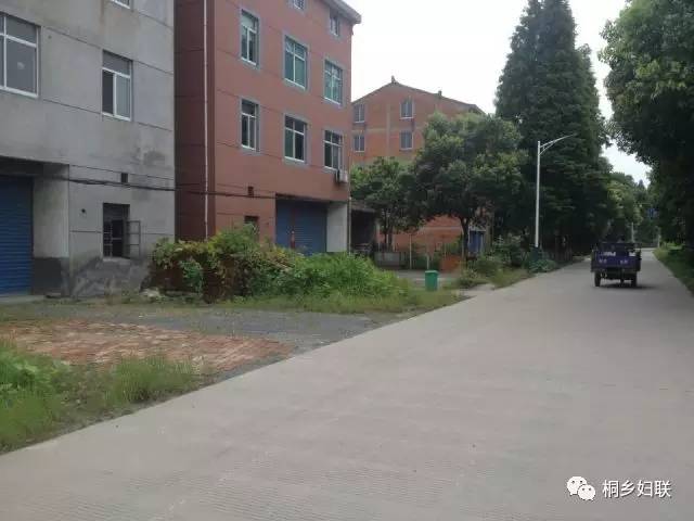 优美庭院之九 | 桐乡市乡村庭院大变身——梧桐街道民安村